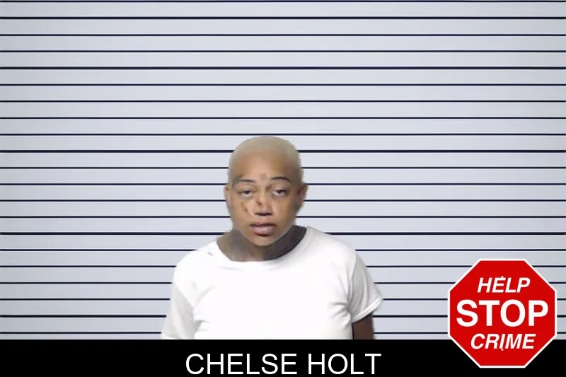 Chelse Holt mugshot