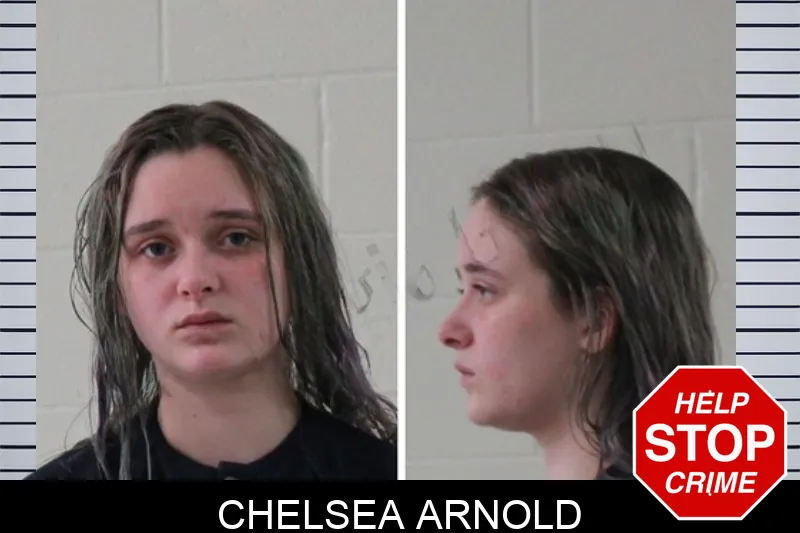 Chelsea Arnold mugshot – Houston County , Georgia Chelsea Arnold mugshot
