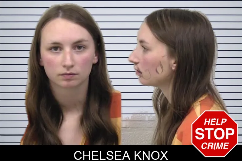 Chelsea Knox mugshot