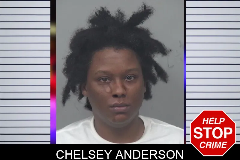 Chelsey Anderson mugshot