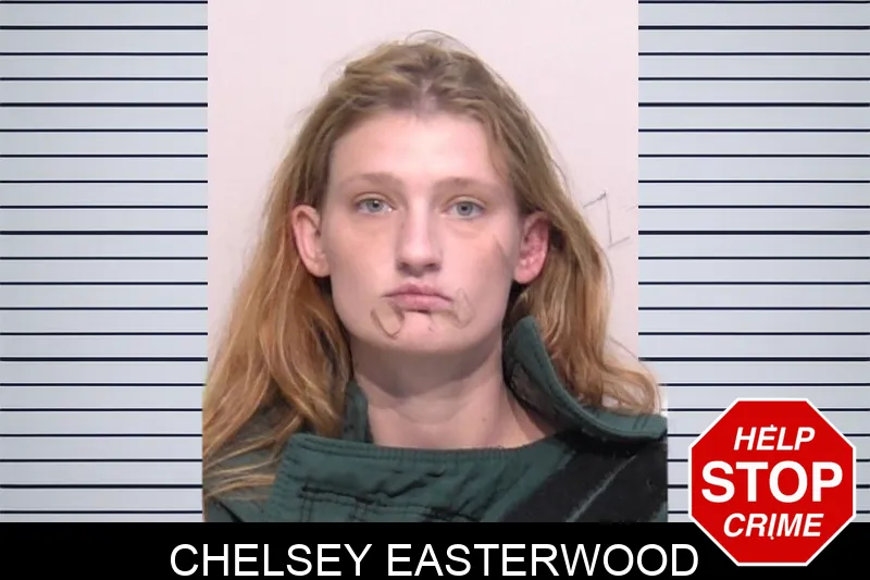 Chelsey Easterwood mugshot