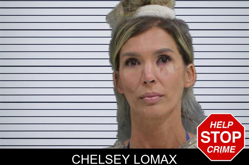Chelsey Lomax mugshot – Rabun County , Georgia Chelsey Lomax mugshot