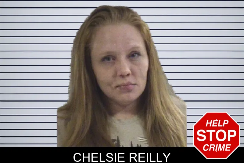 Chelsie Reilly mugshot – Whitfield County , Georgia Chelsie Reilly mugshot