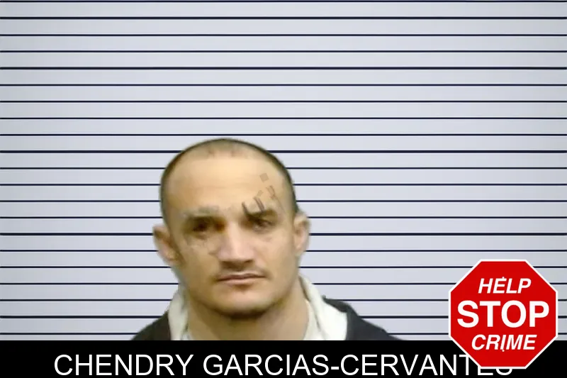 Chendry Garcias-Cervantes mugshot – Fulton County , Georgia Chendry Garcias-Cervantes mugshot