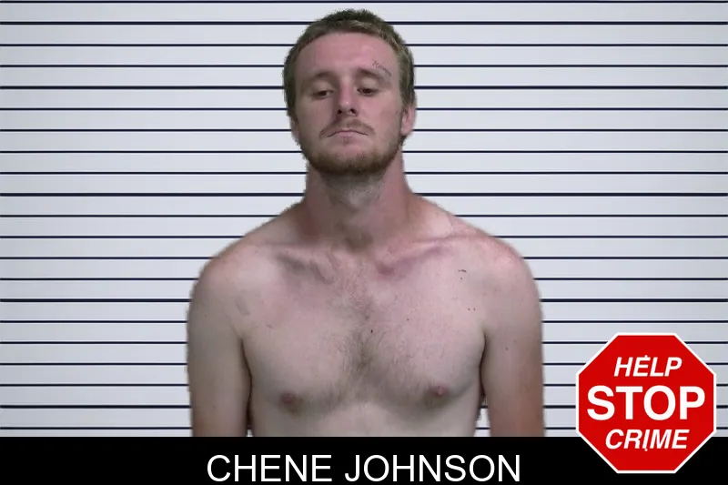 Chene Johnson mugshot