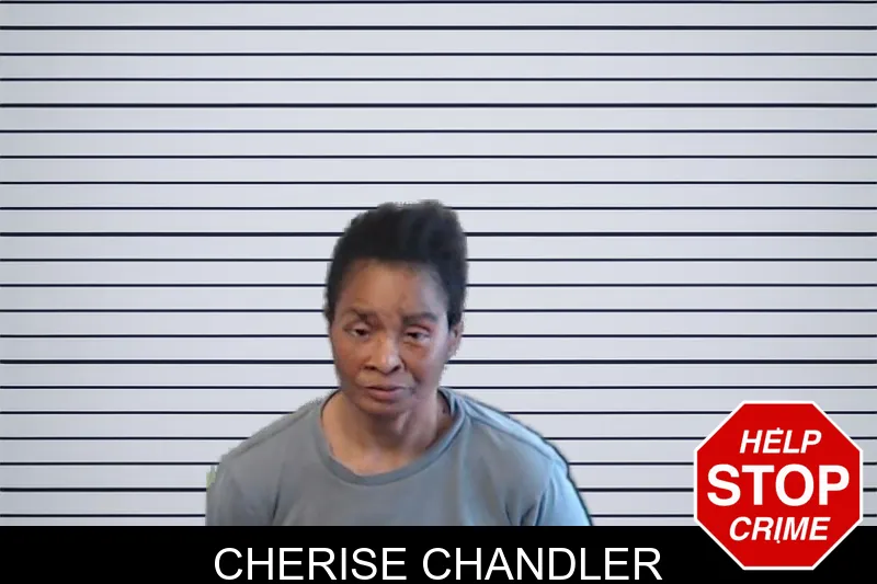 Cherise Chandler mugshot – DeKalb County , Georgia Cherise Chandler mugshot