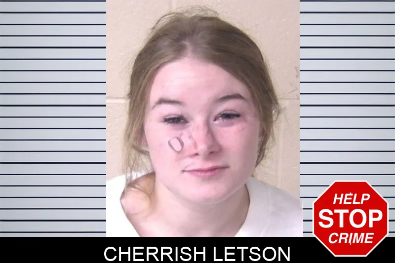 Cherrish Letson mugshot – Walker County , Georgia Cherrish Letson mugshot