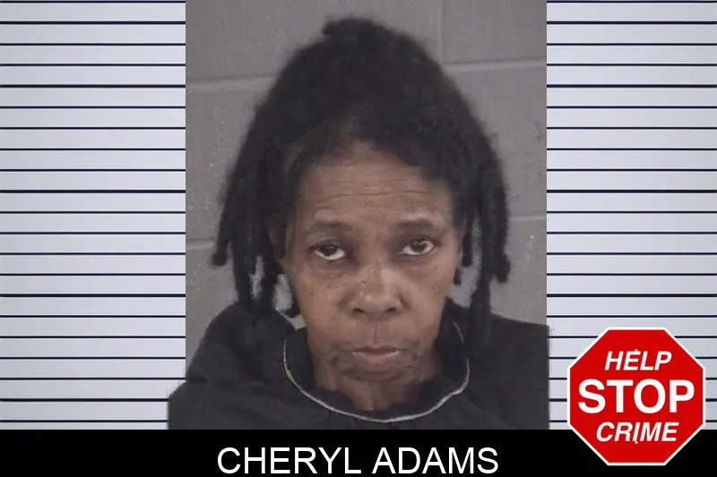 Cheryl Adams mugshot