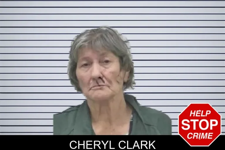 Cheryl Clark mugshot – Colquitt County , Georgia Cheryl Clark