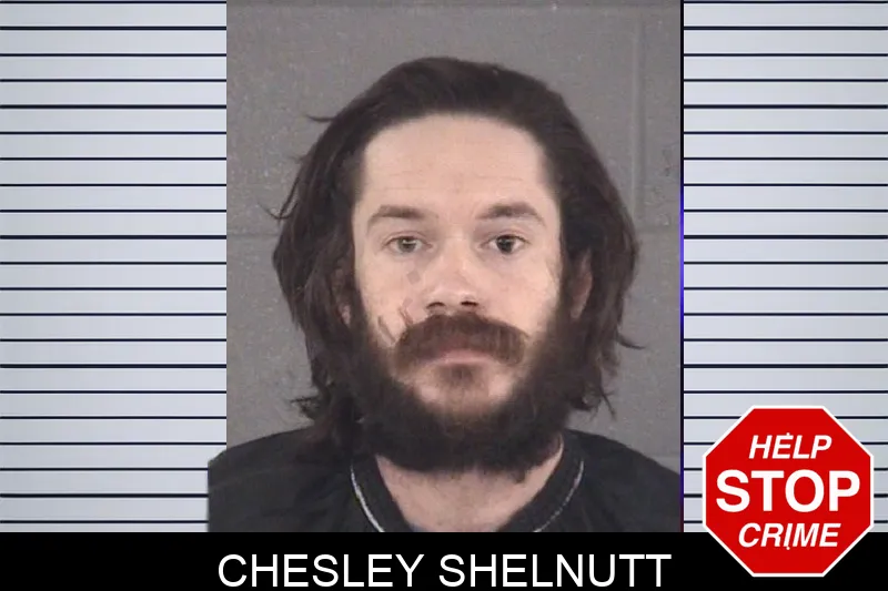 Chesley Shelnutt mugshot