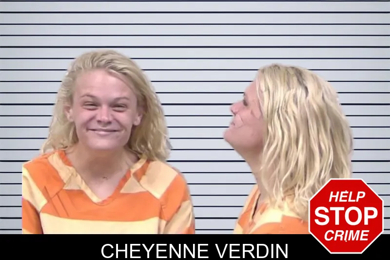 Cheyenne Verdin mugshot