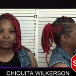Chiquita Wilkerson mugshot