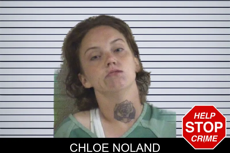 Chloe Noland mugshot – Whitfield County , Georgia Chloe Noland mugshot