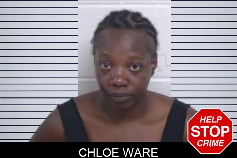 Chloe Ware mugshot