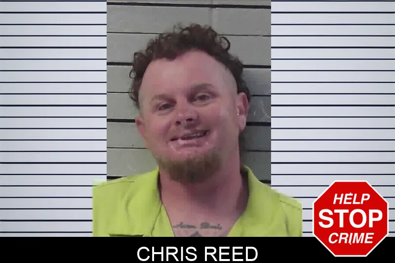 Chris Reed mugshot