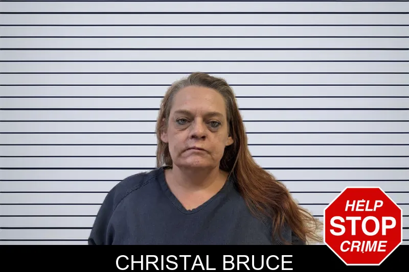Christal Bruce mugshot – Polk County , Georgia Christal Bruce mugshot