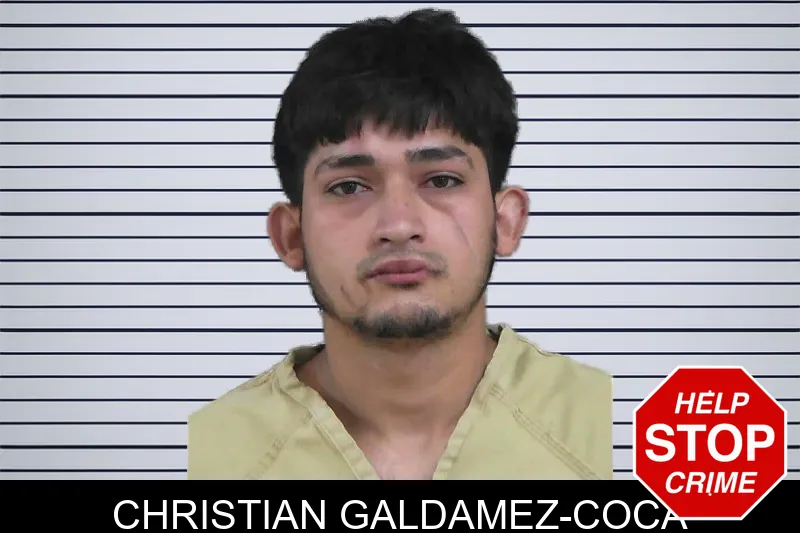 Christian Galdamez-Coca mugshot