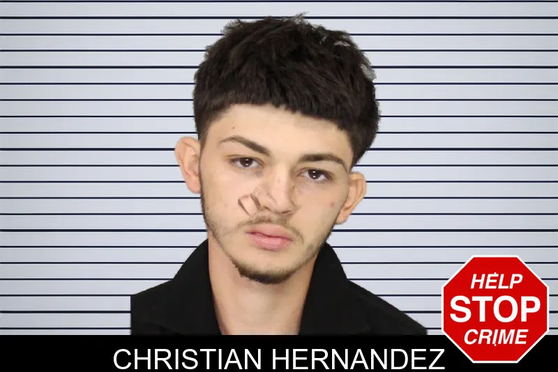 Christian Hernandez mugshot
