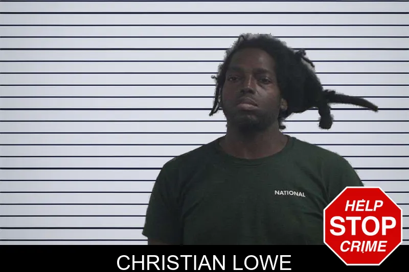 Christian Lowe mugshot – McDuffie County , Georgia Christian Lowe mugshot