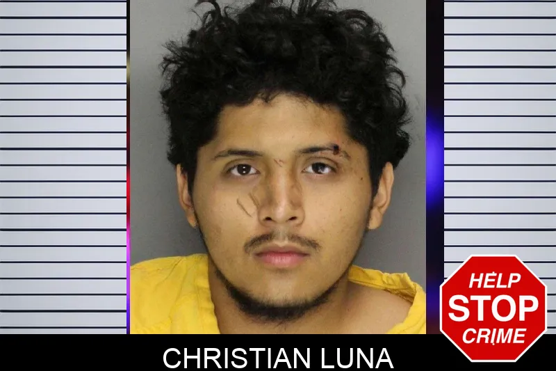 Christian Luna mugshot