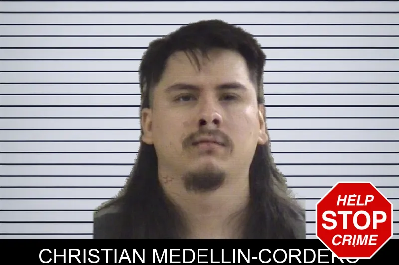 Christian Medellin-Cordero mugshot