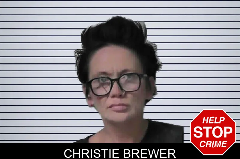 Christie Brewer mugshot