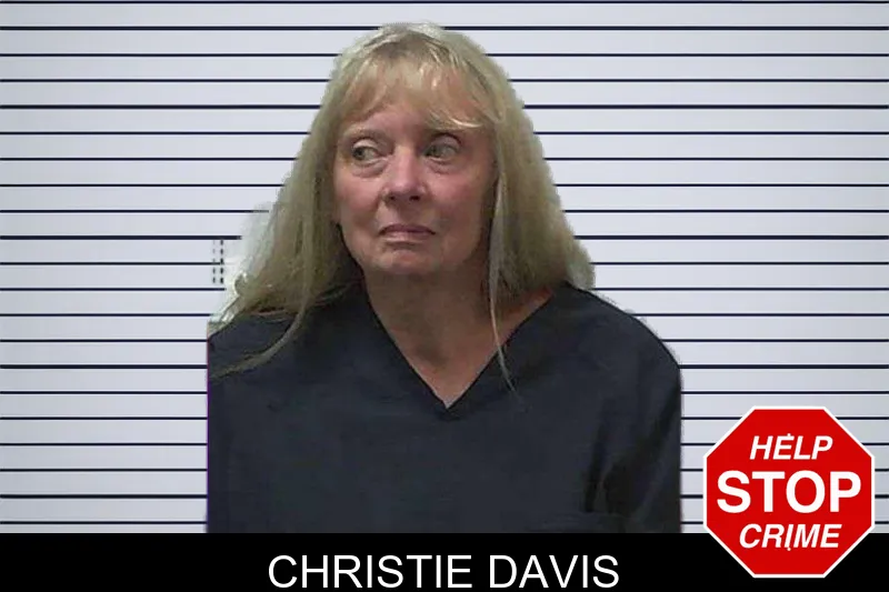 Christie Davis mugshot – Gilmer County , Georgia Christie Davis mugshot