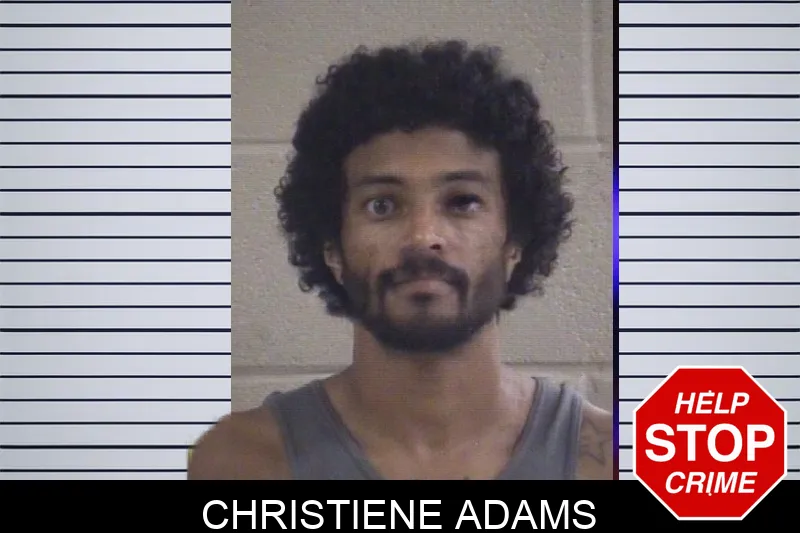 Christiene Adams mugshot – Whitfield County , Georgia Christiene Adams mugshot