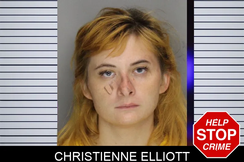 Christienne Elliott mugshot