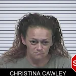 Christina Cawley mugshot – Dawson County , Georgia Christina Cawley mugshot
