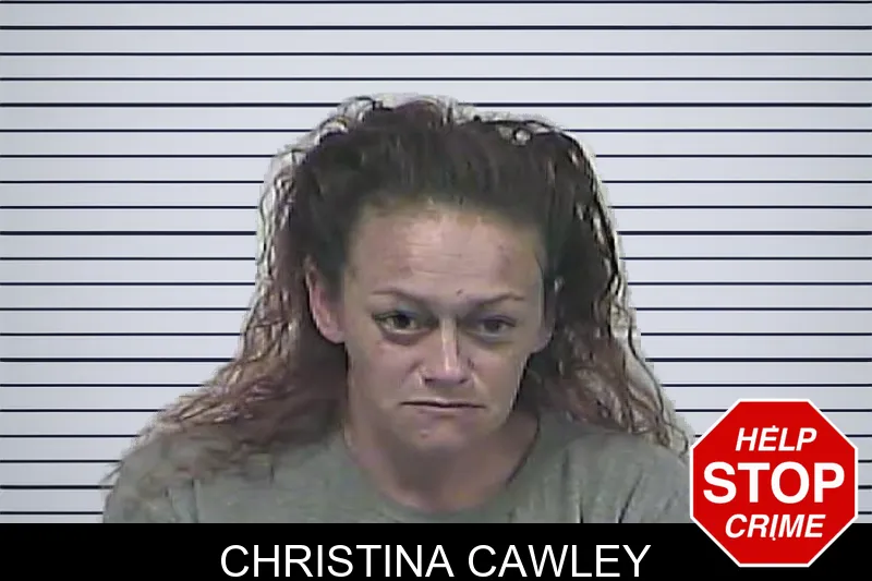 Christina Cawley mugshot