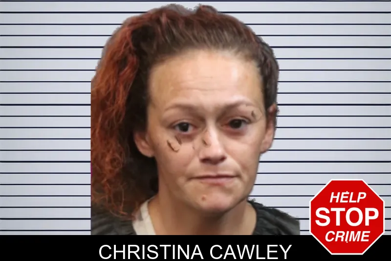 Christina Cawley mugshot