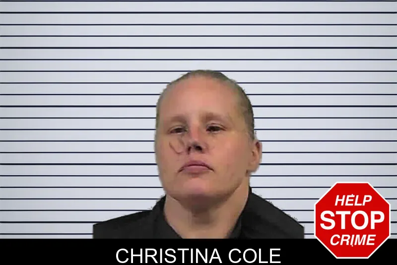 Christina Cole mugshot