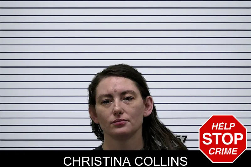 Christina Collins mugshot