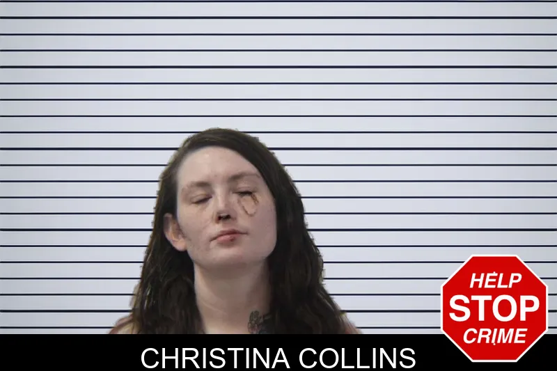 Christina Collins mugshot
