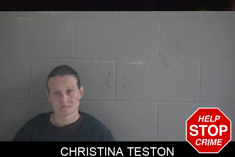 Christina Teston mugshot