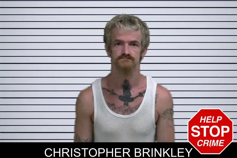 Christopher Brinkley mugshot – Wayne County , Georgia Christopher Brinkley mugshot