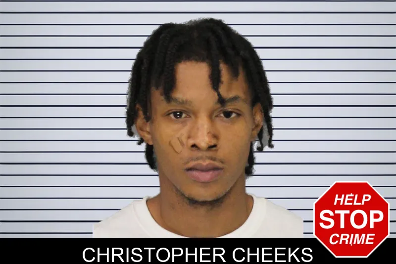 Christopher Cheeks mugshot
