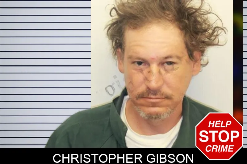 Christopher Gibson mugshot