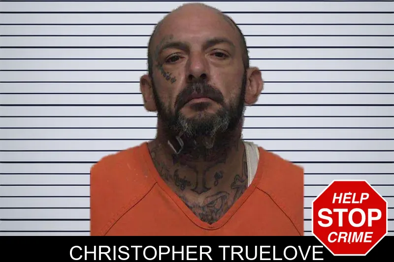 Christopher Truelove mugshot