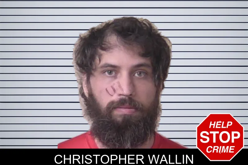 Christopher Wallin mugshot