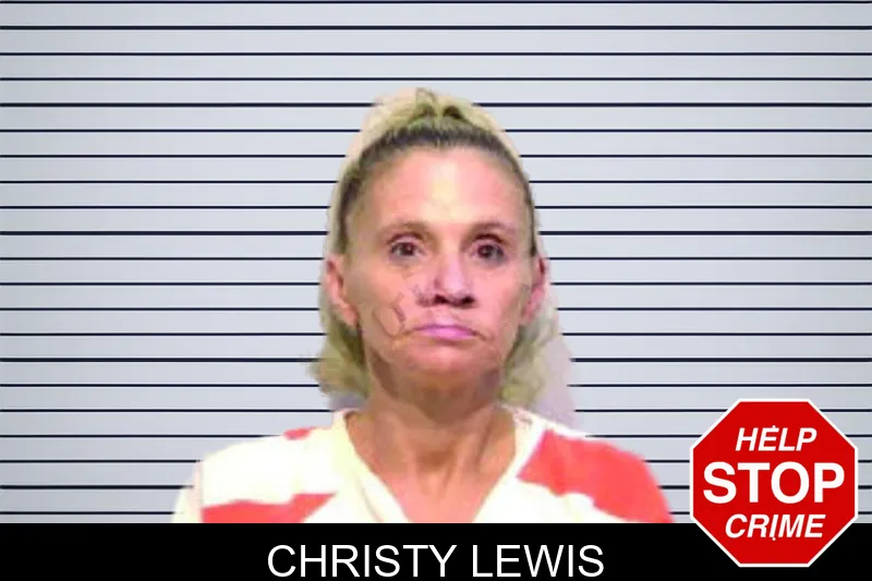 Christy Lewis mugshot