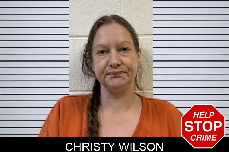 Christy Wilson mugshot