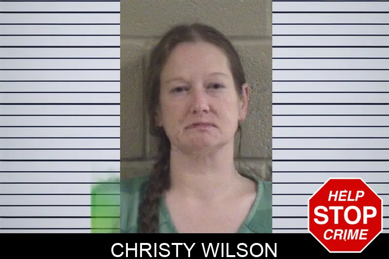 Christy Wilson mugshot