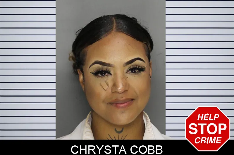 Chrysta Cobb mugshot – Cobb County , Georgia Chrysta Cobb mugshot