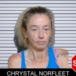 Chrystal Norfleet mugshot – Glynn County , Georgia Chrystal Norfleet mugshot