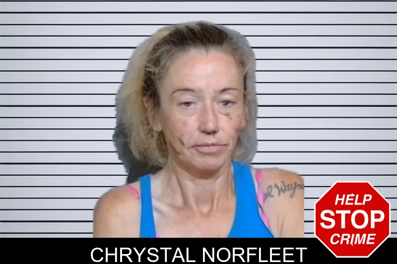 Chrystal Norfleet mugshot – Glynn County , Georgia Chrystal Norfleet mugshot