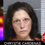 Chrystie Cardenas mugshot