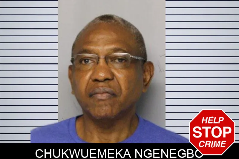 Chukwuemeka Ngenegbo mugshot – Hall County , Georgia Chukwuemeka Ngenegbo mugshot