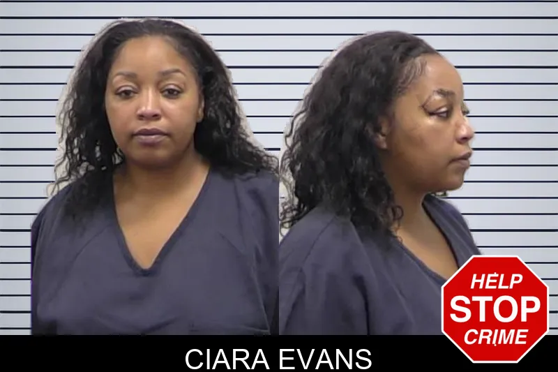 Ciara Evans mugshot